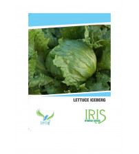 Iris Imported Lettuce Iceberg 110 Seeds